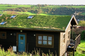 Know That Not All Eco Roofs Are Green Roofs