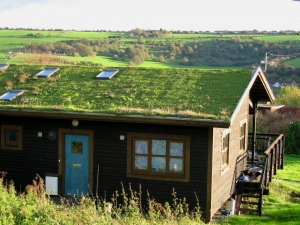 Know That Not All Eco Roofs Are Green Roofs