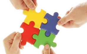 How New Business Owners Should Build A Team?