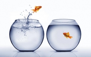 What Are The Success Strategies For Product Innovation?