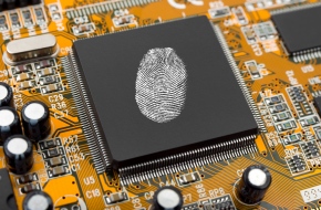 The Cyber World and Personal Data: Where Is Your Information Really Going?