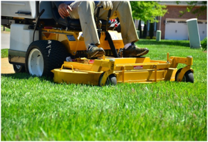 How To Make Your Lawn Better Than Your Neighbour’s