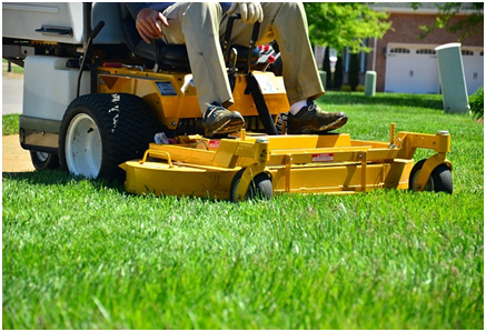 How To Make Your Lawn Better Than Your Neighbour’s