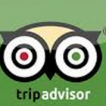 tripadvisor   Google Search