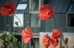 7 Reasons To Choose St Andrews University