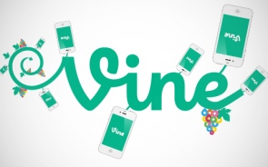A Complete Guide For Using Vine Application