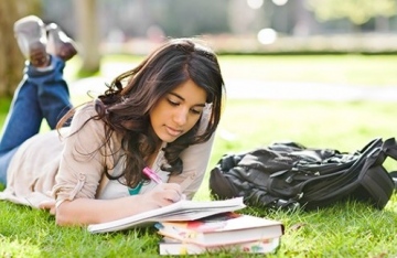 Professional Custom Essay Writing Service