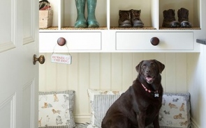 Making Your Home a Pet Haven by shop.stefmar.com.au