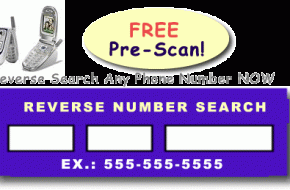 Perform A Reverse Phone Lookup Immediately