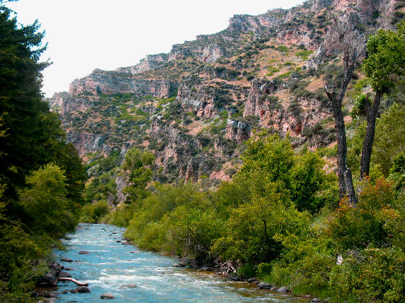 The 5 Best Places To Paddle Board In Montana3