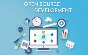 Open Source Development