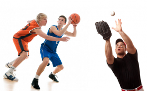 Advantages Of Having A Sports Team Management Software