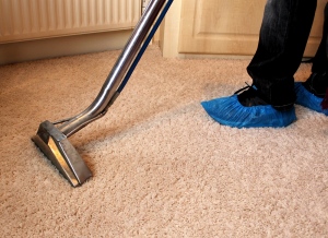 Carpet Cleaning & Rug Cleaning For Hamptons Homeowner