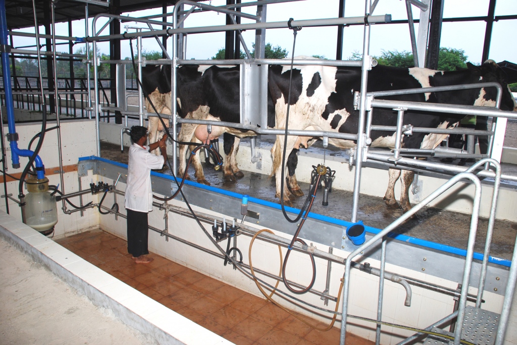 Technological Advancement Of Dairy Farming In India