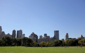 Perfect Picnic Spots In New York City