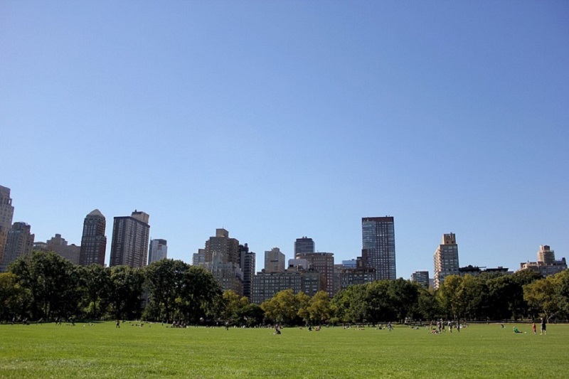 Perfect Picnic Spots In New York City