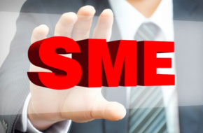 Subject Matter Experts or SME’s- What Do They Do
