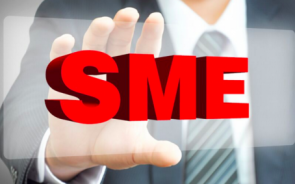 Subject Matter Experts or SME’s- What Do They Do