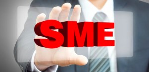 Subject Matter Experts or SME’s- What Do They Do
