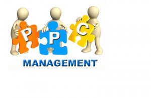 PPC Management Services For Exponential Growth
