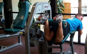 Can Tribulus Terrestris Be Used As A Testosterone Booster?