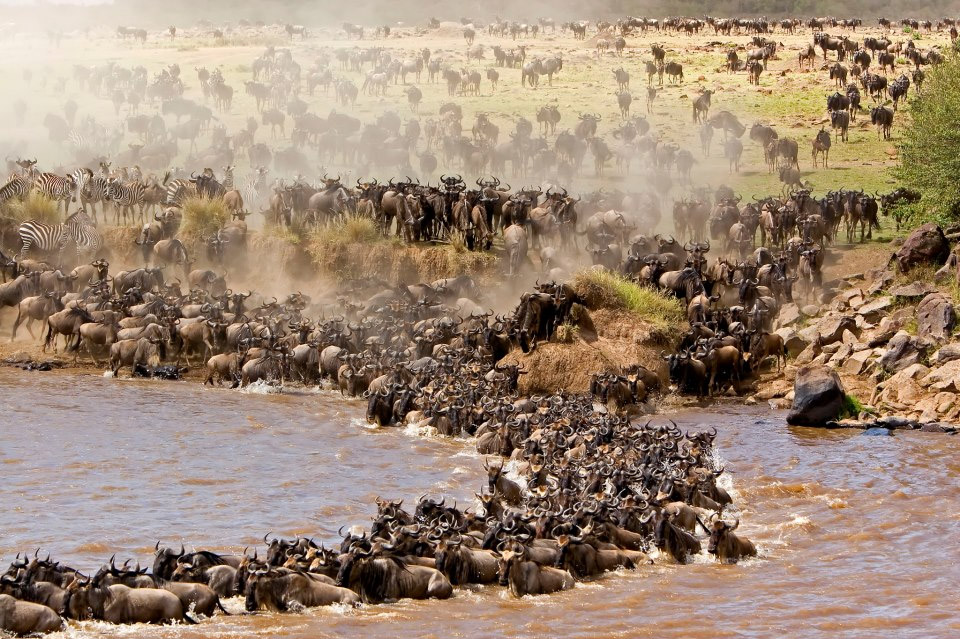 Popular African Safari Destinations