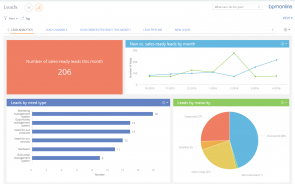 Bpm'online marketing