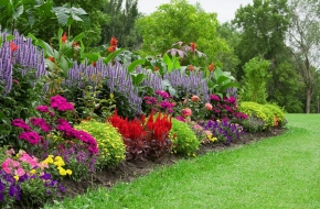 Top Pruning Tips To Keep Your Garden In Good Health