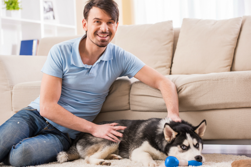 An Essential Guide For Moving Your Pets and Plants