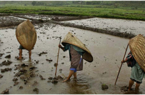 Could You Live There?