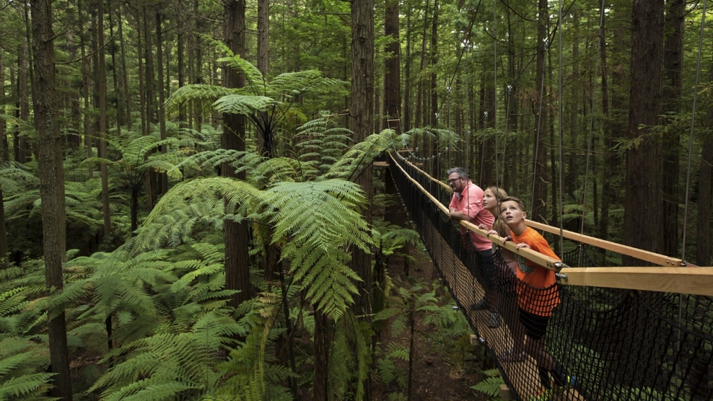 Amazements About Studying Abroad in New Zealand