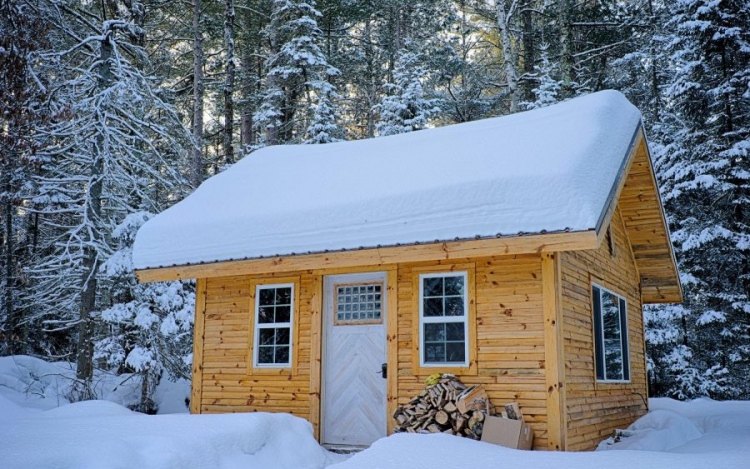 Tiny Home: Swiss Knife of Houses or Just Another Passing Trend