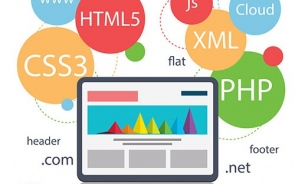 What Are The Processes Of A Better Website Development and Designing