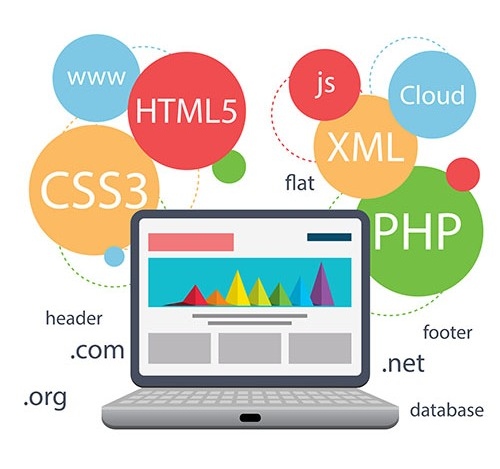 What Are The Processes Of A Better Website Development and Designing