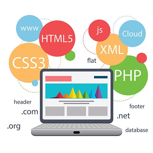 What Are The Processes Of A Better Website Development and Designing