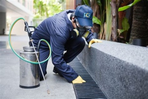 Choosing The Best Pest Control Services
