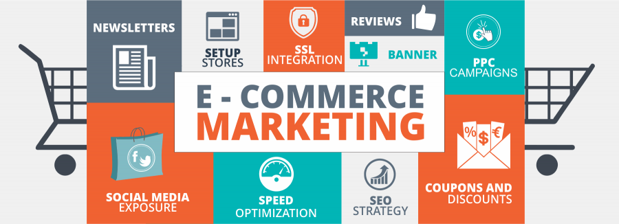 Hire E-commerce SEO Expert & Flourish Your Business Successfully