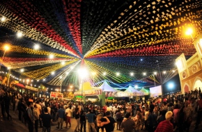 What Is The Role Of The Power Generator In June Parties?