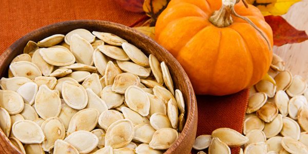 Benefits Of Pumpkins And Pumpkin Seeds For Your Pet