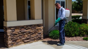 A Guide To Hiring The Best Pest Control Services