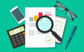 develop financial statements and budgeting