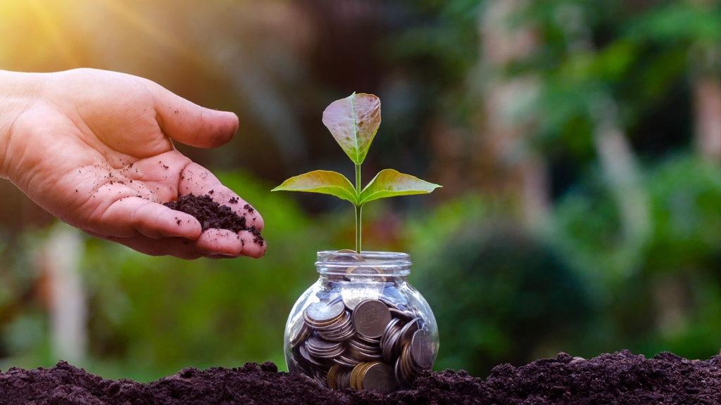 savings with Axis Small Cap Fund