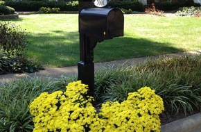 Refresh Your Curb Appeal With These 6 Ideas