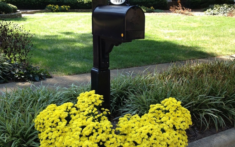 Refresh Your Curb Appeal With These 6 Ideas