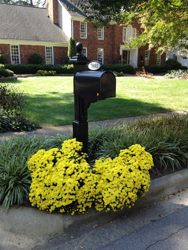 Refresh Your Curb Appeal With These 6 Ideas