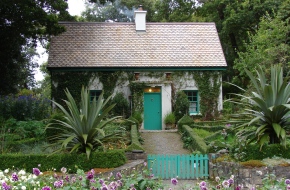 Xeriscaping Essentials: The Perfect Landscaping Solution For Your Home